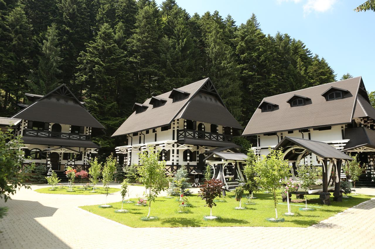 Готель Complex Lions Bucovina Воронец Екстер'єр фото